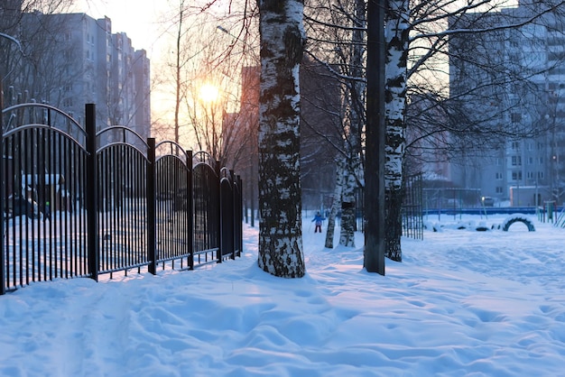 Winter landscape iron fence at sunset