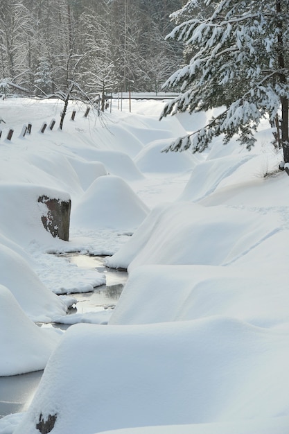 Winter landscape of a mountain river in the snow, around the forest.