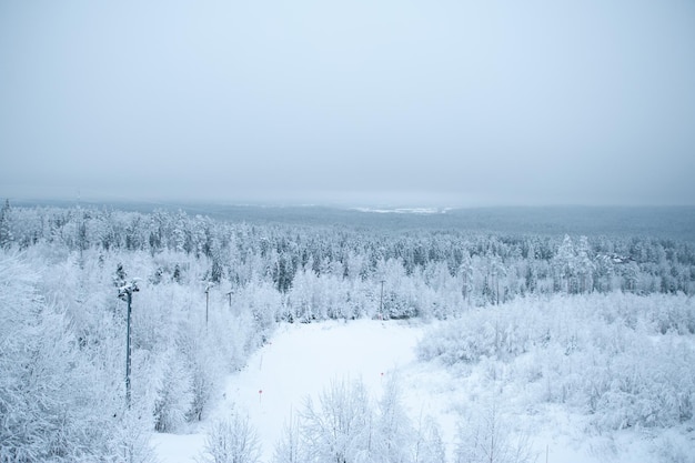 Winter landscape mountain view of the forest in the snow spruce and pine sky and mountains Ski resort