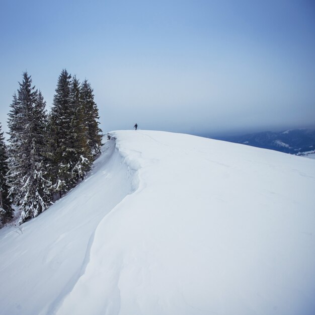 Photo winter landscape in mountains