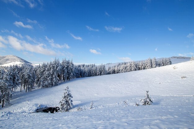 Winter landscape in mountains