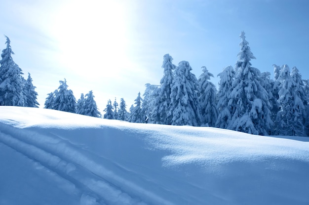 Winter landscape in mountains