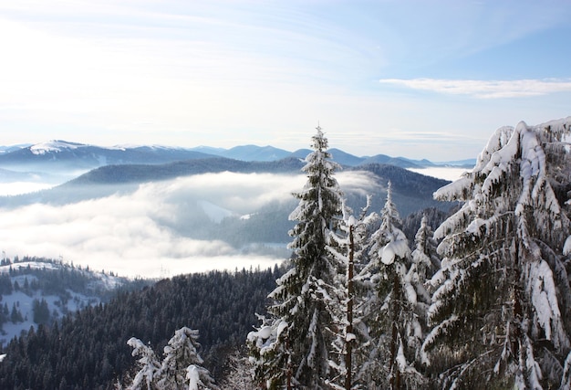 Winter landscape in mountains