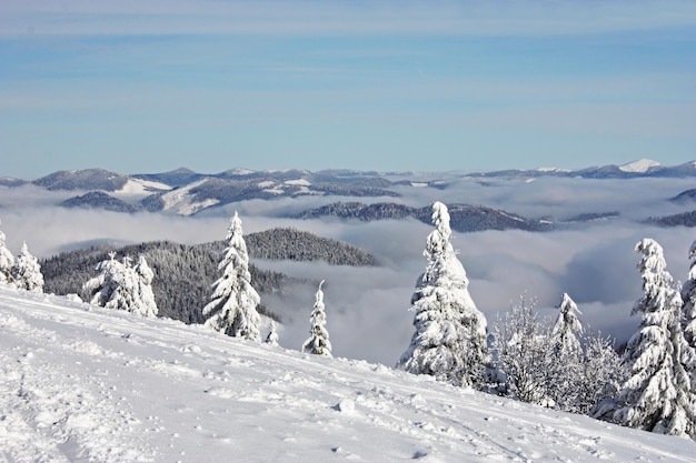 Winter landscape in mountains