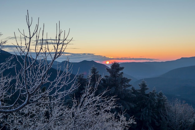 Winter landscape Panoramic view of the mountains in the distance a spruces and icecovered trees on a winter evening at sunset of the day