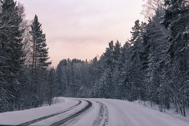 Winter landscape road through a snowy forest Winter travel