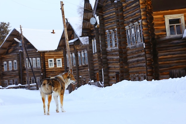 winter landscape russian village north wooden house