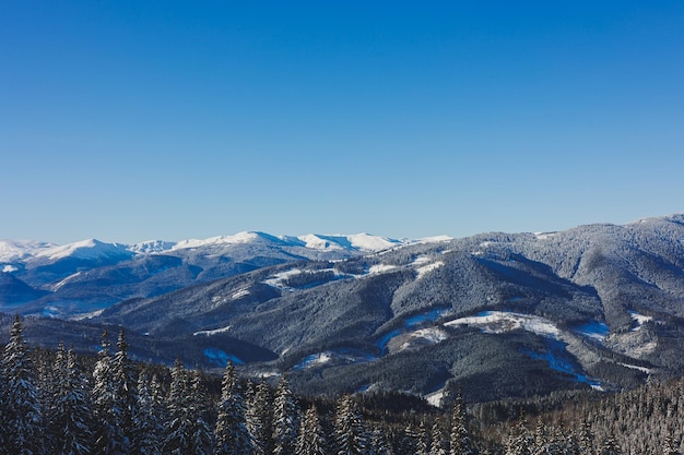 Winter landscape of snowy mountains with winter forest Winter landscape