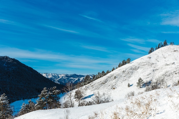 Winter landscape with firs and mountains