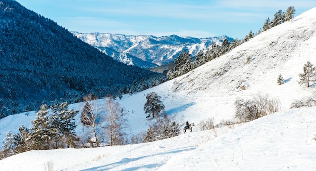 Winter landscape with firs and mountains