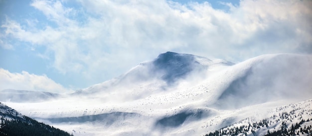 Winter landscape with high mountain hills covered with evergreen pine forest after heavy snowfall on cold wintry day