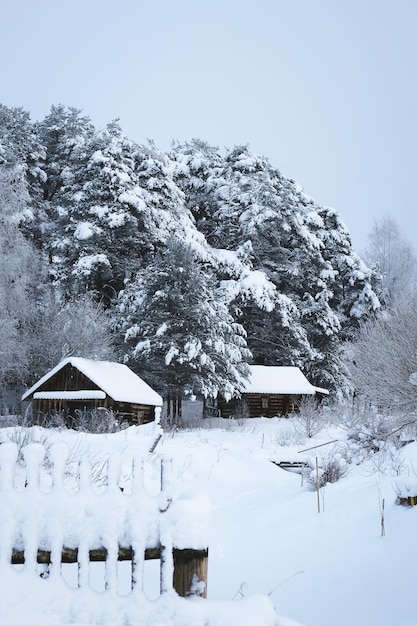 Winter landscape with log cabine trees in the forest covered with snow in the foreground a fence