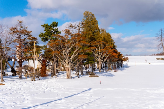 Winter Landscape With Natural Scenery