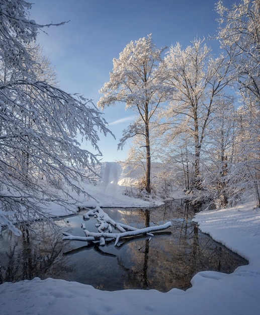 Winter landscape with river view and frozen trees