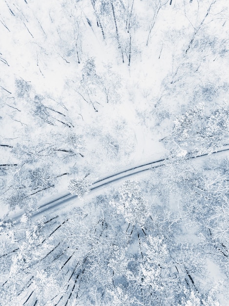 Winter landscape with road in forest