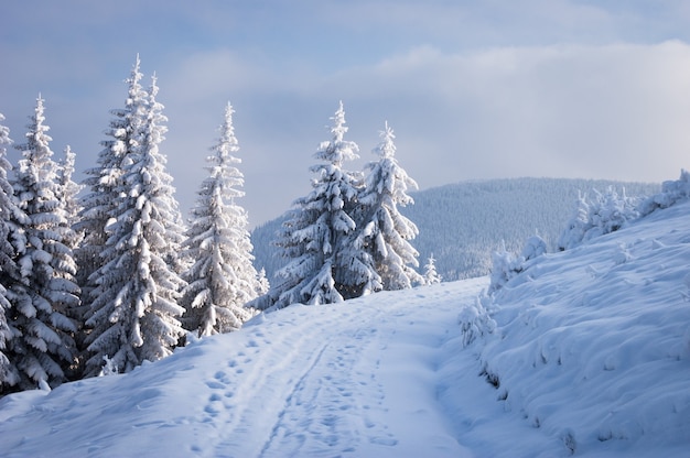 Winter landscape with a road in the mountains. Frost covered trees