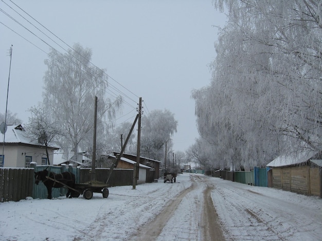 Winter landscape with rural street in snow