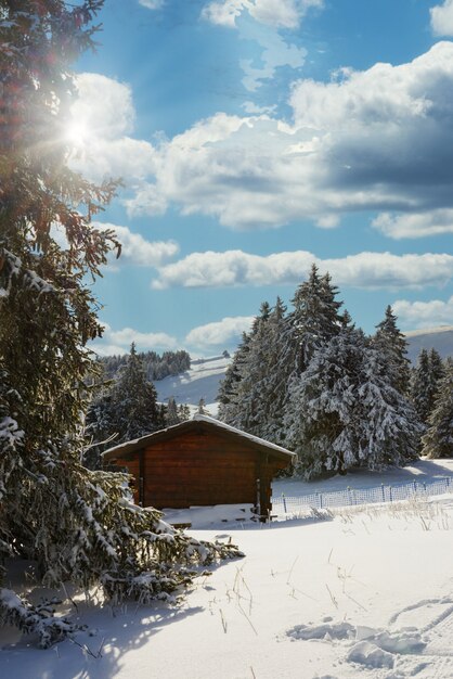 Winter landscape with a small chalet