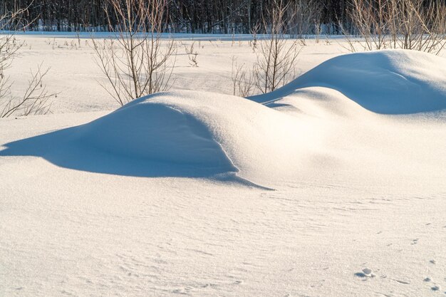 Winter landscape with snow and trees. Natural landscape in winter