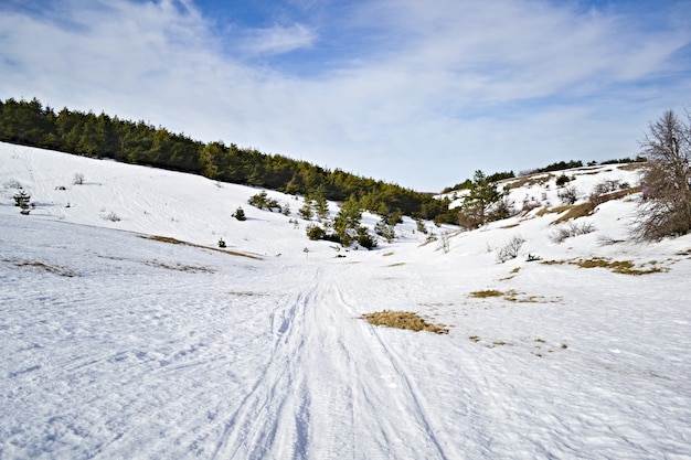 Winter Landscape with Snow and Trees Snow mountain.