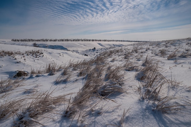 Winter landscape with steppe covered snow. Icy grass in snowy prairie