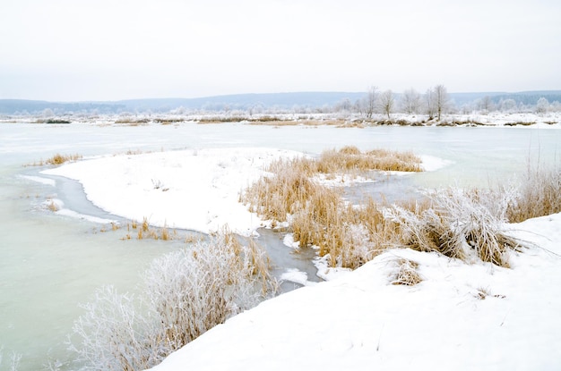 Winter landscape