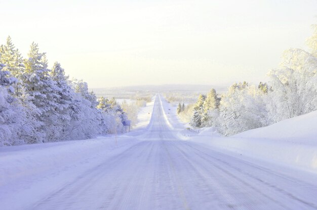 Winter Landscape