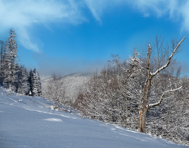 Winter massiv mountains scenery view from Yablunytsia pass Carpathians Ukraine