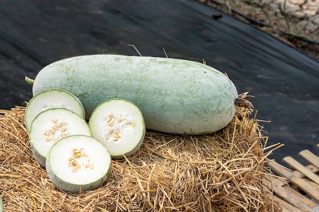 Winter melon is cut into pieces on the straw.