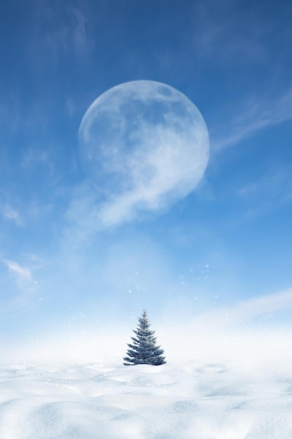 Winter minimalist landscape A lonely spruce against the background of snowdrifts and a blue sky with a moon Christmas card