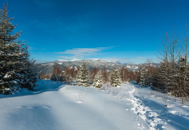 Winter morning Carpathian mountains Ukraine