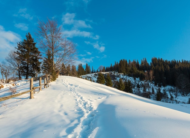 Winter morning mountain rural snow covered path