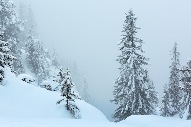 Winter mountain foggy dull day snowy landscape