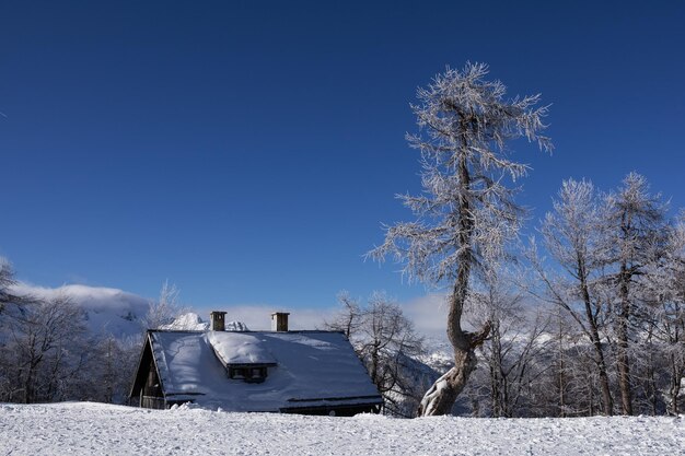 Winter mountain landscape in the Alps with house tree and snow