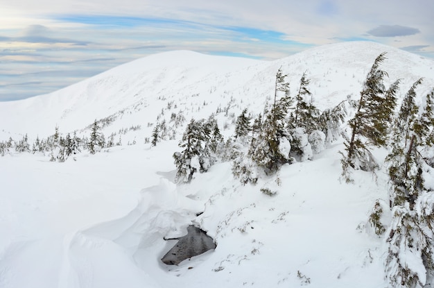 Winter mountain landscape in the Carpathians, Ukraine