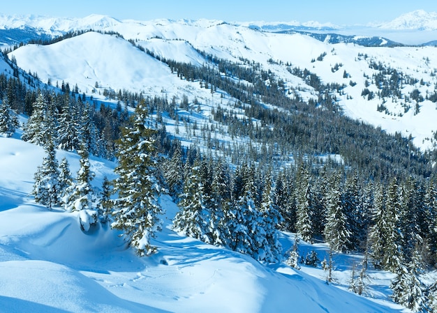 Winter mountain landscape with snowy spruce trees on slope(Hochkoenig region, Austria)