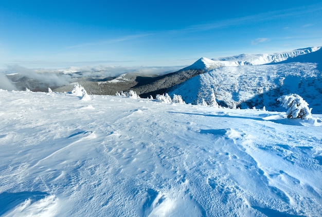 Winter mountain landscape with snowy trees on slope