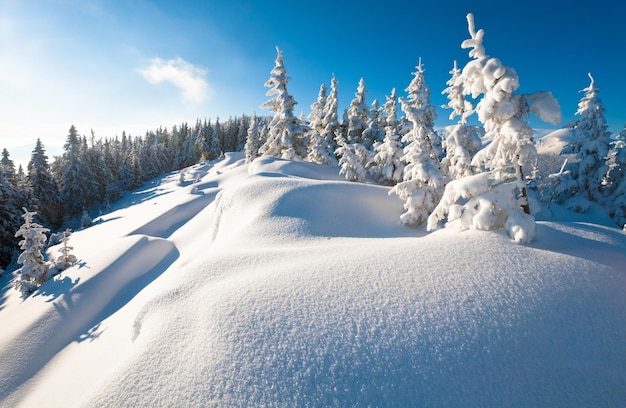 Winter mountain landscape