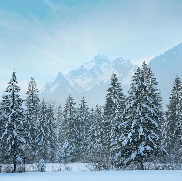 Winter mountain landscape