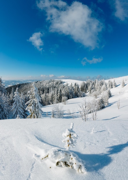 Winter mountain snowy landscape