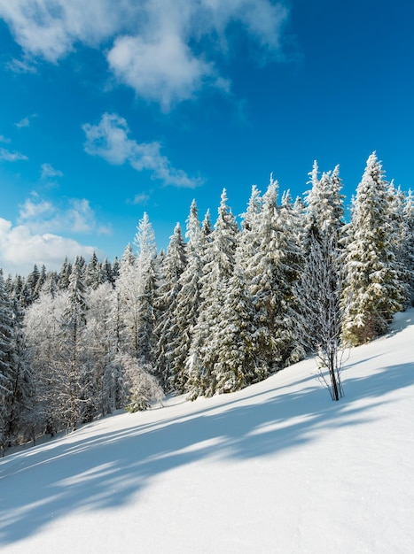 Winter mountain snowy landscape