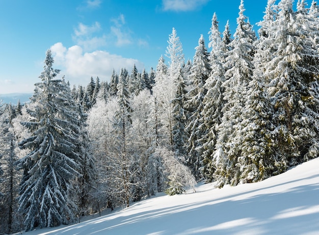 Winter mountain snowy landscape