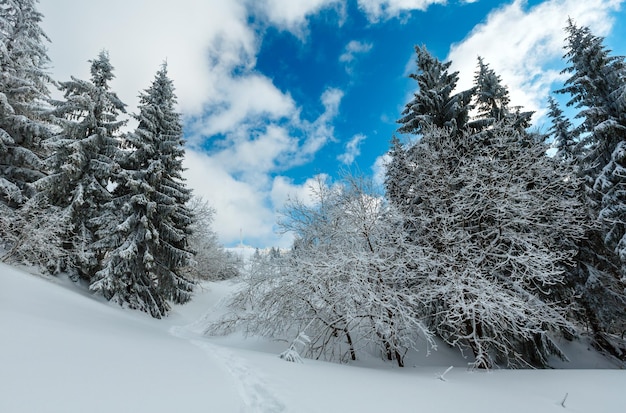 Winter mountain snowy landscape