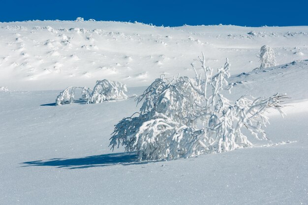 Winter mountain snowy landscape