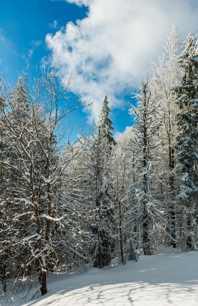 Winter mountain snowy landscape