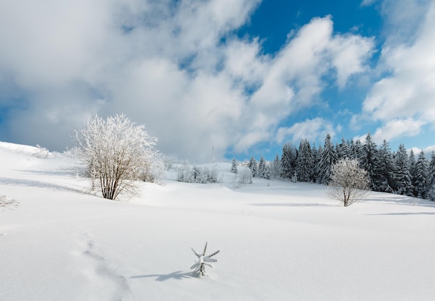 Winter mountain snowy landscape