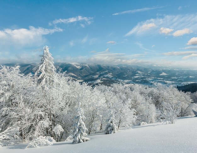 Winter mountain snowy landscape