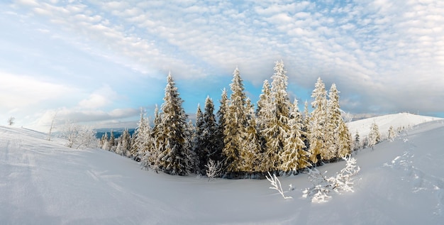 Winter mountain snowy landscape