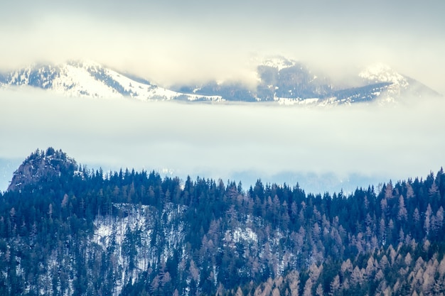 Winter in the mountains. Cloudy weather over wooded snowy slopes. Fog and clouds