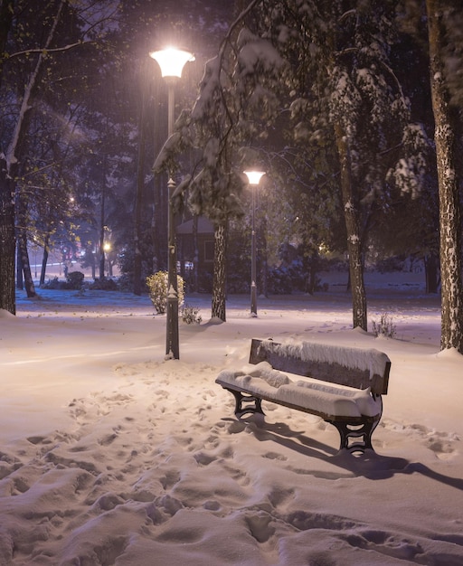 Winter night landscape bench under trees and shining street lights falling snowflakes